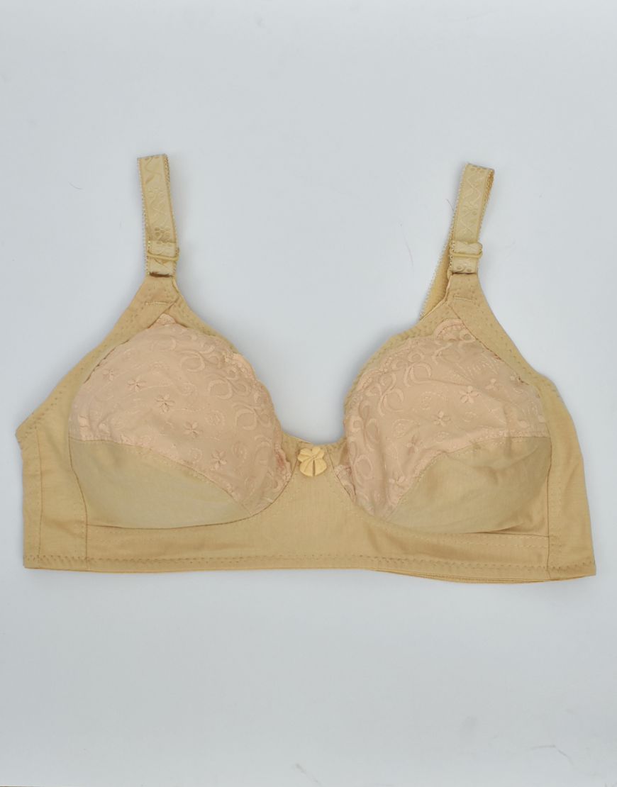 Soft Embroidered Everyday Plus Size D-cup Bra
