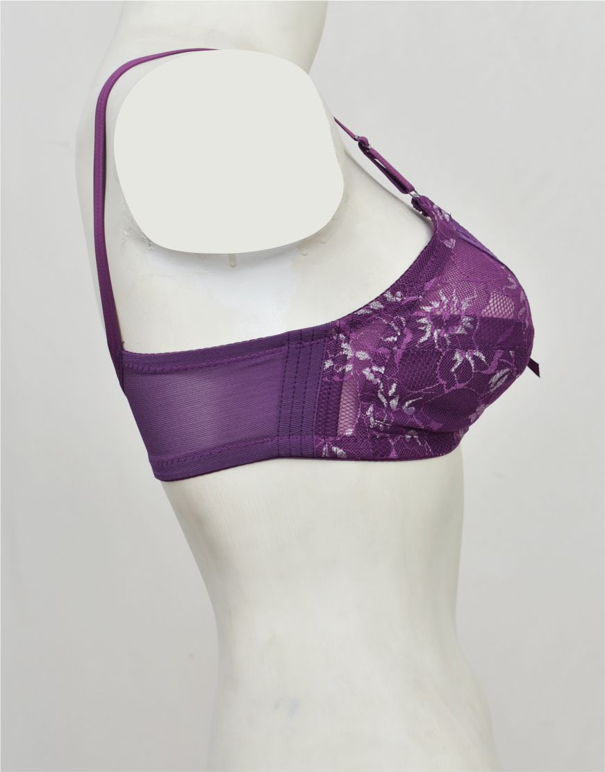 Fancy Lace Net Bra By Purplebag – PurpleBag Pakistan