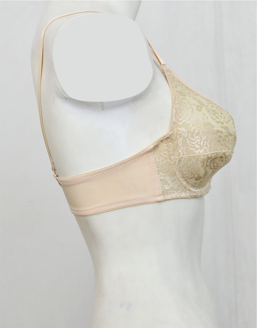 Underwired Fancy Net Bra with Soft Cup Lining