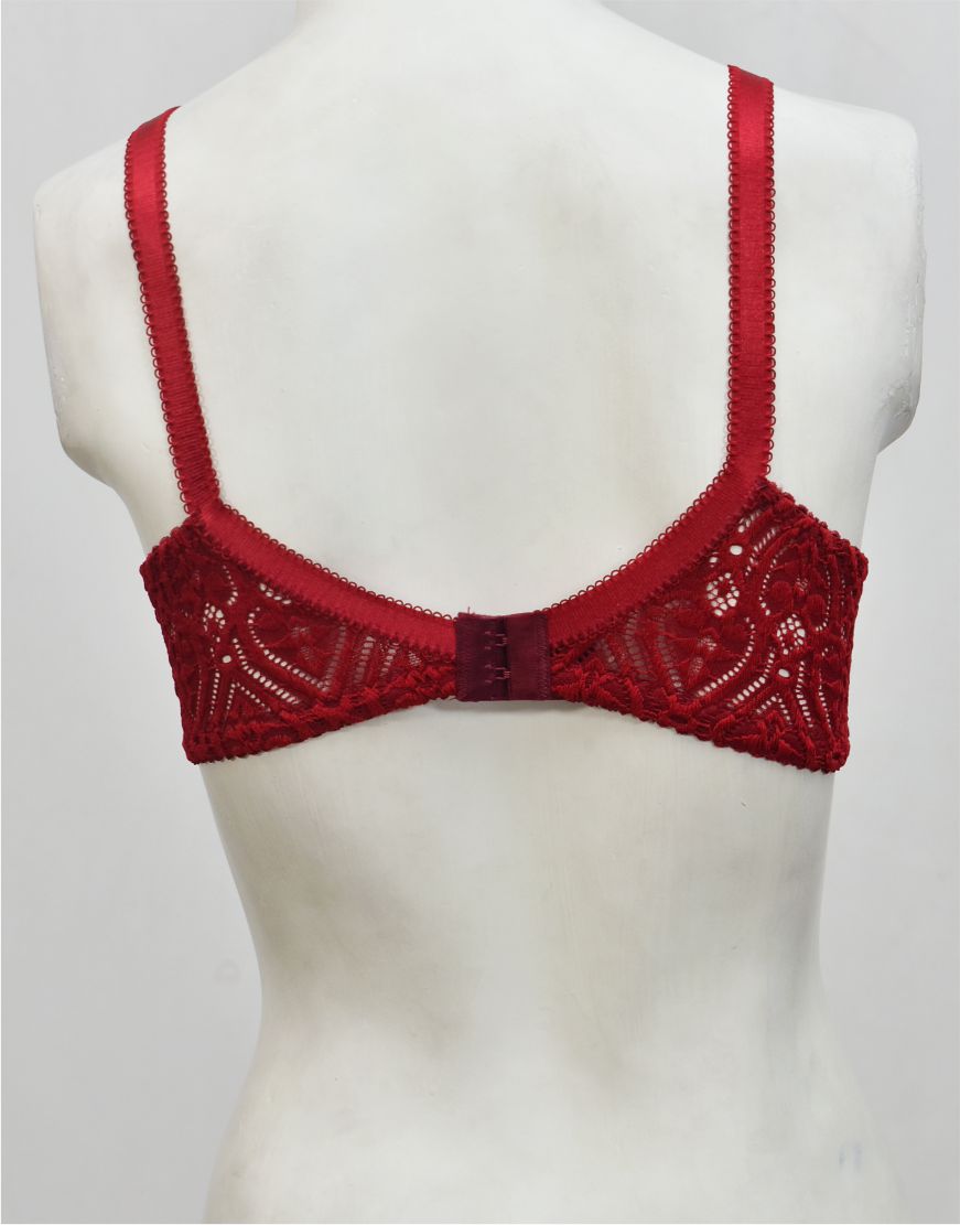 Ghazal Embroidered Net Bra with Soft Cup Lining