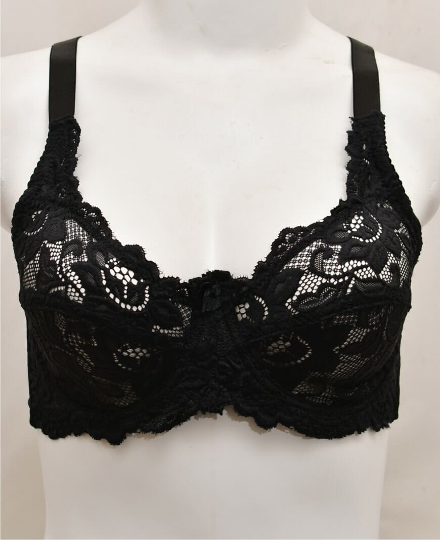 Net and Lace Embroidered Fancy Bra –