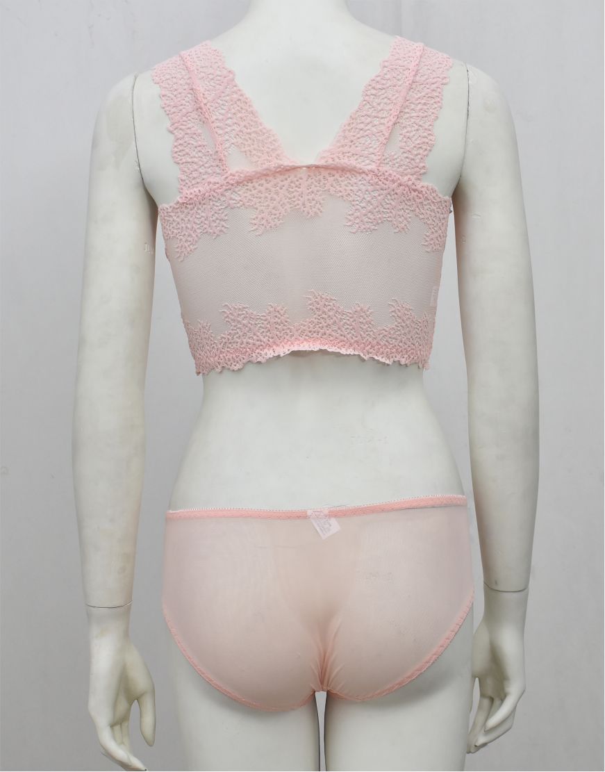 Stylish Crop Top Blouse-Bra & Panty See-through Set