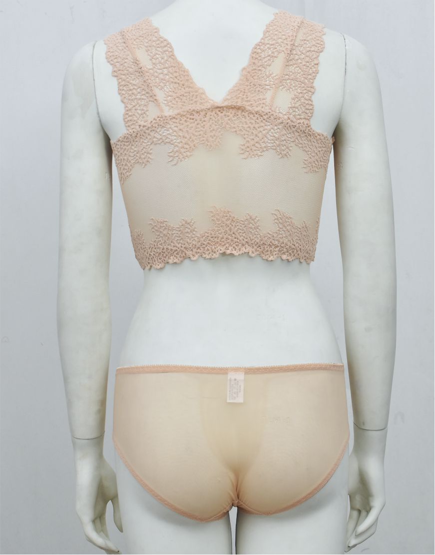 Stylish Crop Top Blouse-Bra & Panty See-through Set
